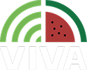 Viva Web Logo